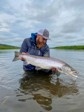 A fisher holding a large atlantic salmon.